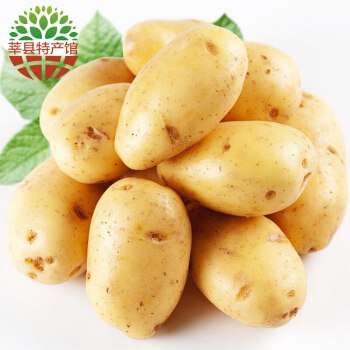 新鲜土豆5斤，25.9 