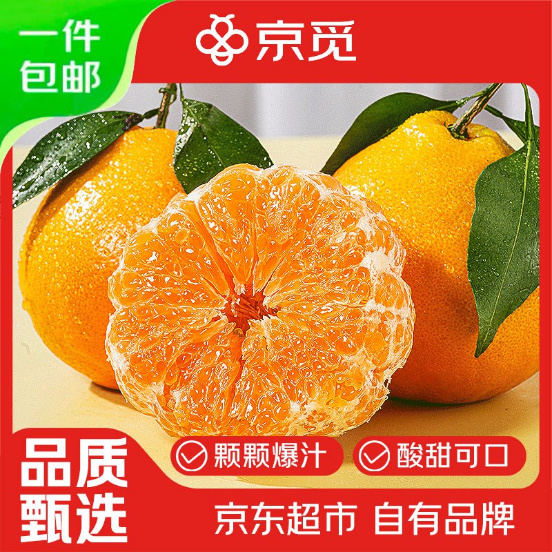【自营】京觅 四川春见耙耙柑4.5斤装 单果70mm+