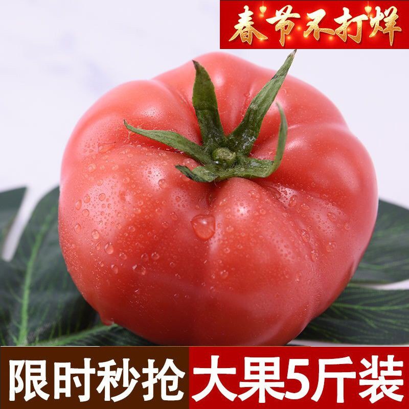 新鲜自然熟大西红柿净重5斤/25个左右，叠加PLUS21.8到手 