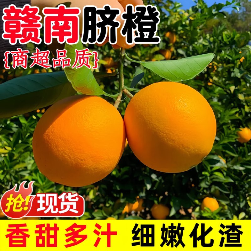 橙之味 江西赣南早脐橙 净重9斤