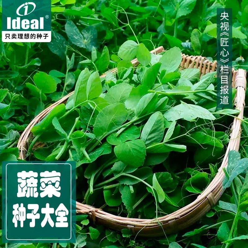 20点百亿补贴   1亓理想蔬菜瓜果种子/ CZ4953 /dyOFWpEPb08//