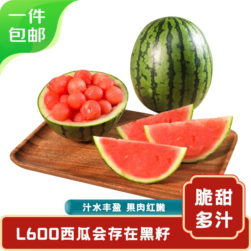 先领29-5.1卷
