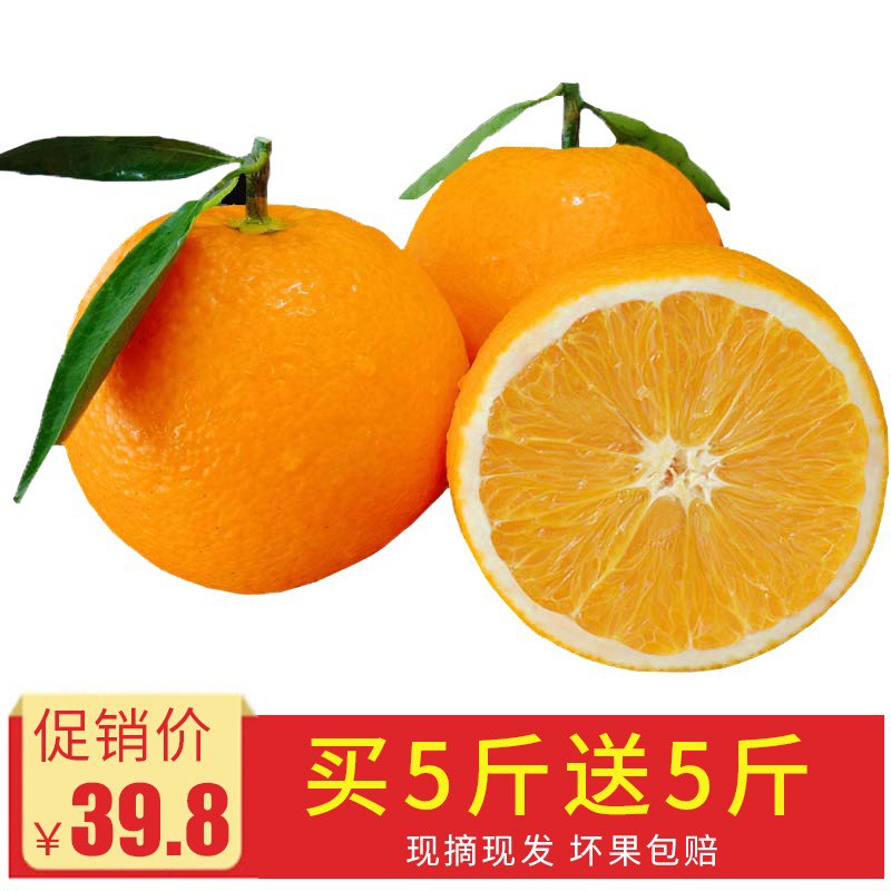 伦晚脐橙 薄皮甜橙10斤装 26.8
